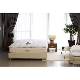Tấm nệm đa năng Topper Edena 