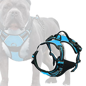 2Pcs Dog Vest Harness Reflective Comfortable for Dogs Night Walking Cat