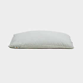 Gối vỏ đậu xanh Sunny