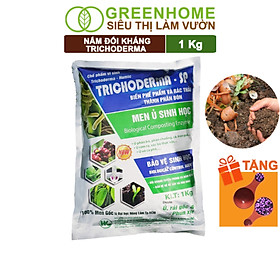Nấm đối kháng trichoderma, hoàng kim, ủ phân hữu cơ, ủ rác, đậu tương, khử mùi, cải tạo đất