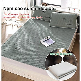 Mua Chiếu Điều Hoà Cold Latex Silk (1 8x2m) (tặng 2 vỏ gối  kèm túi đựng) (xanh lá) - Home and Garden