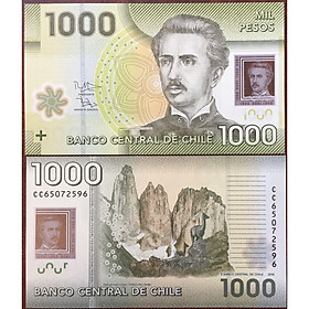 Mua Tiền Sưu Tầm Chile 1000 Pesos  Tiền Xưa Sưu Tầm 