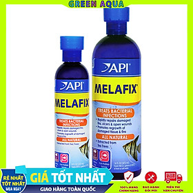 API - Melafix | Xử lý nấm an toàn cho cá cảnh thủy sinh