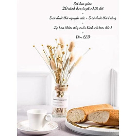 Mua (Combo hoa và lọ có ảnh thật) Hoa khô kèm lọ tặng đèn LED  decor phòng khách trang trí bàn làm việc  chụp ảnh sản phẩm