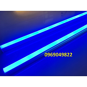 Combo 2 đèn LED tuýp thanh T5 120cm liền máng màu xanh dương sử dụng hắt trần trang trí