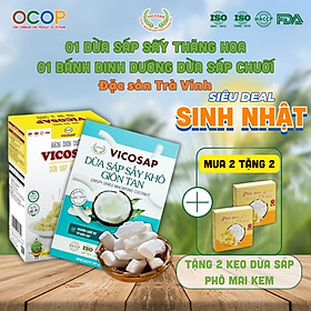 Combo 1 Dừa sáp sấy giòn VICOSAP 1 Bánh dừa sáp chuối ít đường đồ ăn vặt healthy đặc sản Trà Vinh