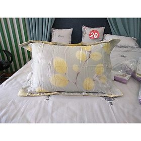 Mua Vỏ gối nằm es1809 45*65 (1 cái)