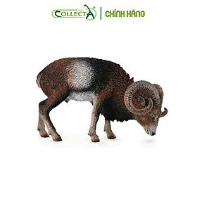 Mô hình thu nhỏ Cừu Núi - European Mouflon, hiệu CollectA, mã HS 9651360