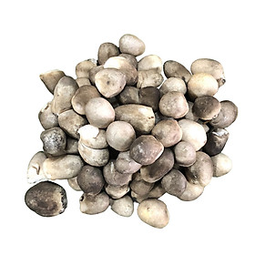 Nấm Rơm Tươi Ngon , Sạch, Bổ Sung Giàu Dinh Dưỡng 500Gr - Foodmap