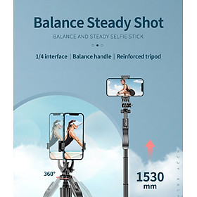 Mua Gậy chống rung cơ học Gimbal&Stabilizer Twins Light Kèm 2 đèn led trợ sáng - cao cấp
