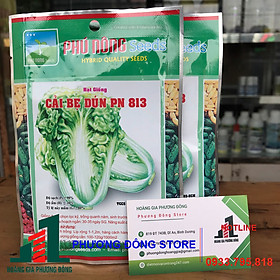 Combo 5-10 gói hạt giống rau Cải bẹ dún  sinh trưởng nhanh