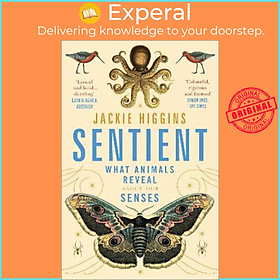 Sách - Sentient : What Animals Reveal About Human Senses by Jackie Higgins (UK edition, paperback)