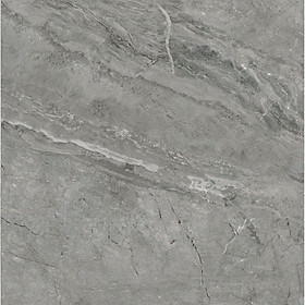 Mua Gạch ốp lát bề mặt bóng toàn phần EBL12001 (120x120cm)