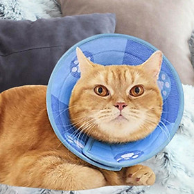 Cat Recovery Collar Protective Wound Adjustable  Collar for Cats