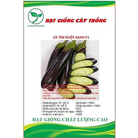 Hạt Giống Cà Tím Ruột Xanh F1 CT269 - Gói 1gram