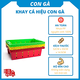 Khay nhựa chữ nhật trồng rau/đựng đồ/ đựng cá siêu bền Siam Brothers - Đỏ