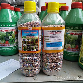 Phân bón nhập khẩu NPK 15-15-15 chuyên dùng cho hoa, cây cảnh