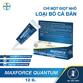 Diệt kiến dạng Gel Bayer Maxforce Quantum 0.03% (12g)