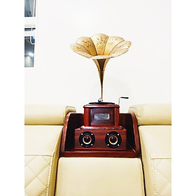 Máy phát nhạc loa kèn đồng ( nghe đài FM, BLUTOOTH, THẺ NHỚ)