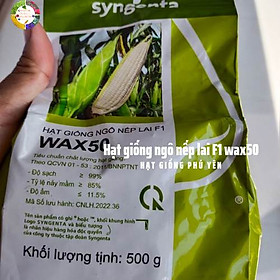 Hạt giống ngô nếp lai F1 Wax50 sygenta gói 500 gram