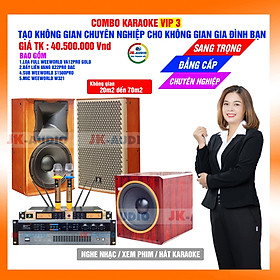 Mua Dàn karaoke gia đình Loa Weeworld Va12pro gold 40 5 triệu - Hàng chính hãng