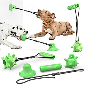 Đồ chơi dành cho chó để tương tác với chó, kéo, nhai và làm sạch răng-Màu xanh lá