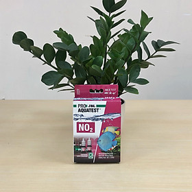 Test NO2 JBL – Đức - Thuốc thử kiểm tra hàm lượng Nitrit trong môi trường nước