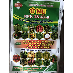 1 KG PHÂN BÓN SIÊU DAP NP 18-47-0 