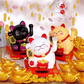 Mua Mèo thần tài năng lượng