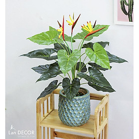 Mua Cây giả - Cây thiên điểu để bàn  trang trí nhà sang trọng LanDecor (75CM