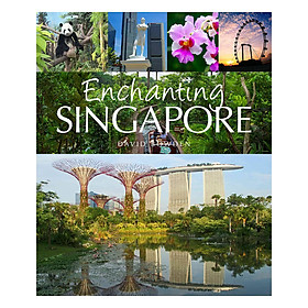 Enchanting Singapore 