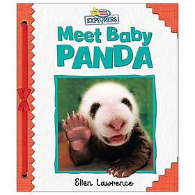 Sách ngoại văn: Active Minds Explorers - Meet Baby Panda - Phoenix International Publications Ltd