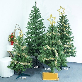 Mua Cây Thông Noel Trang Trí Giáng Sinh Trong Nhà Ngoài Trời Đầu Tròn Nhiều Size Thông 2m  3m  1m  Mini