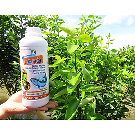 Mua ĐẠM CÁ HỒI (chai 1 lít) - DƯỠNG CÂY  XANH LÁ