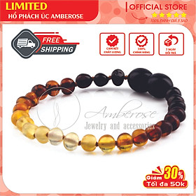 Bộ Vòng Hổ Phách Amber Úc Cho Bé 0 - 10 tuổi SABCVCD