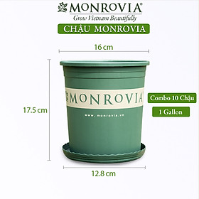 10 Chậu nhựa trồng cây MONROVIA 1 Gl, chậu trồng cây, chậu cây cảnh mini, để bàn, treo ban công, treo tường, cao cấp, chính hãng thương hiệu MONROVIA