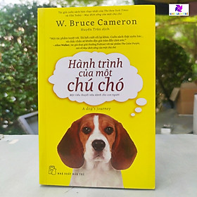 Sách - NXB Trẻ - Hành trình của một chú chó