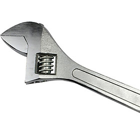 Mua Mỏ Lết Trắng 20cm (8 Inch)