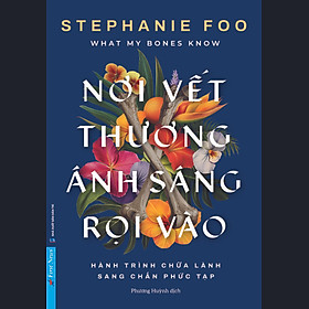 Sách Nơi Vết Thương Ánh Sáng Rọi Vào