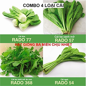 Mua Combo 4 Loại Hạt Giống Rau Cải Chịu Nhiệt Dễ Trồng