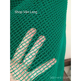Mua Lưới cước nhựa màu xanh khổ rộng 1 5 mét mắt dày 0 5cm