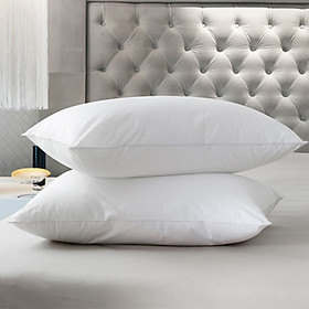 Ruột Gối Khách Sạn 5 Sao DADA - Gòn Microfiber Polyester
- Êm Ái, Mềm Mại, Dễ Chịu