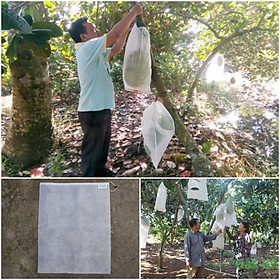 Mua Túi Bao Trái Mít 50x70 - Bao Bọc Quả Mít - Set 10cai