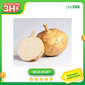 [Chỉ giao HCM] Củ Sắn, túi 500gr