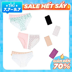 Combo 06 quần lót nữ thun lạnh họa tiết Vera