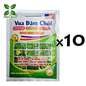Mua Phân Bón Vua Đâm Chồi Gói 100gr (Combo 10 gói) – Giúp Cây Ra Đọt Đều  Lá Xanh Mượt  Phát Triển Mạnh