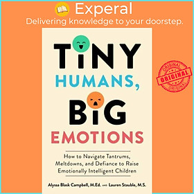 Sách - Tiny Humans, Big Emotions - How to Navigate Tantrums, Meltdow by Lauren Elizabeth Stauble (UK edition, hardcover)