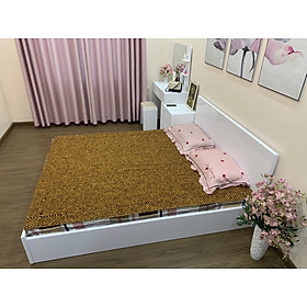 Chiếu Hạt Gỗ Bách Xanh kích thước 1,8mx2m - Chiếu gỗ Mian