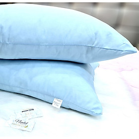 Combo ruột gối lông vũ cho người lớn siêu êm, ôm lông vũ nhân tạo, hàng khách sạn cao cấp