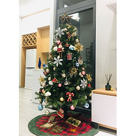 Mua Cây Thông Noel Cao 2m Lá Dày Dặn - Cây Thông Giáng Sinh Việt Nam Xuất Khẩu